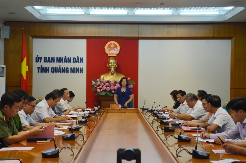 Đồng chí  Vũ Thị Thu Thủy, Phó Chủ tịch UBND tỉnh phát biểu tại cuộc họp