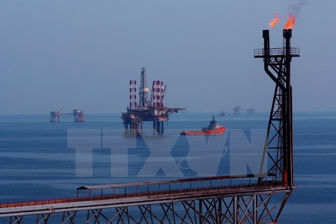 Các giàn khai thác dầu của Liên doanh Vietsovpetro tại mỏ Bạch Hổ. (Ảnh: Huy Hùng/TTXVN)