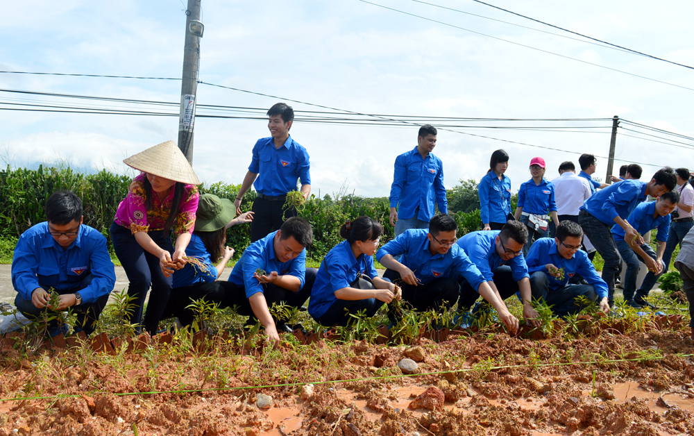 Đoàn viên tham gia trồng cây, tạo cảnh quan môi trường tại xã Đầm Hà.
