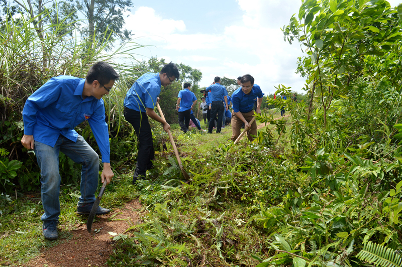 Đoàn viên thanh niên tham gia phát quang bụi rậm, chuẩn bị xây dựng 300m đường tại xã Tân Bình.