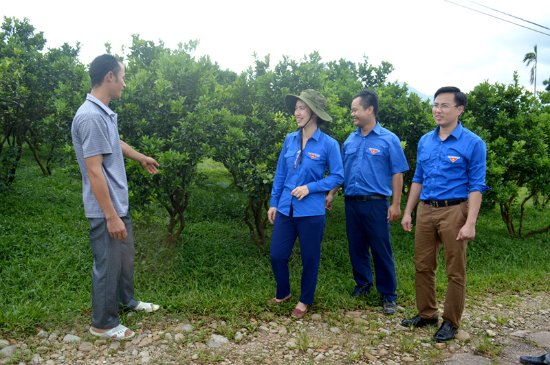 Đoàn tiến hành khảo sát, triển khai mô hình “Vườn cam thanh niên kiểu mẫu” tại xã Dực Yên.