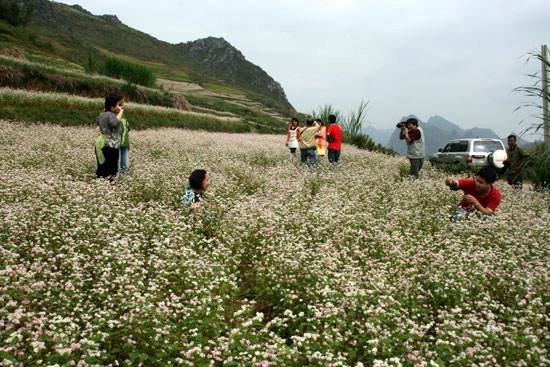 Những điểm mới của Luật Du lịch (sửa đổi) 2017