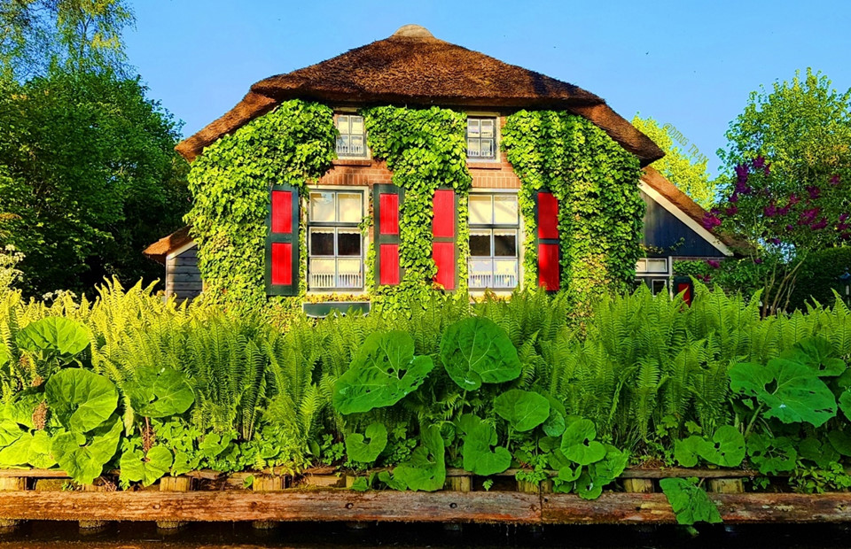 Ở Giethoorn, khói bụi và tiếng còi của xe cộ không tồn tại. Khi đến đây, mọi người phải để lại xe hơi bên ngoài làng, thuê thuyền mà người dân gọi là “Whisper boat” (thuyền thì thầm) có động cơ không gây tiếng ồn để “tiếp cận” ngôi làng, hoặc có thể đi bộ qua hơn 176 cây cầu vòm bằng gỗ.