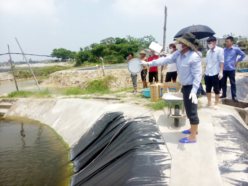 Cán bộ Chi cục Chăn nuôi và Thú y (Sở NN&PTNT) hướng dẫn người dân xã Vạn Ninh (TP Móng Cái) kỹ thuật phòng chống, xử lý dịch bệnh trên tôm nuôi.