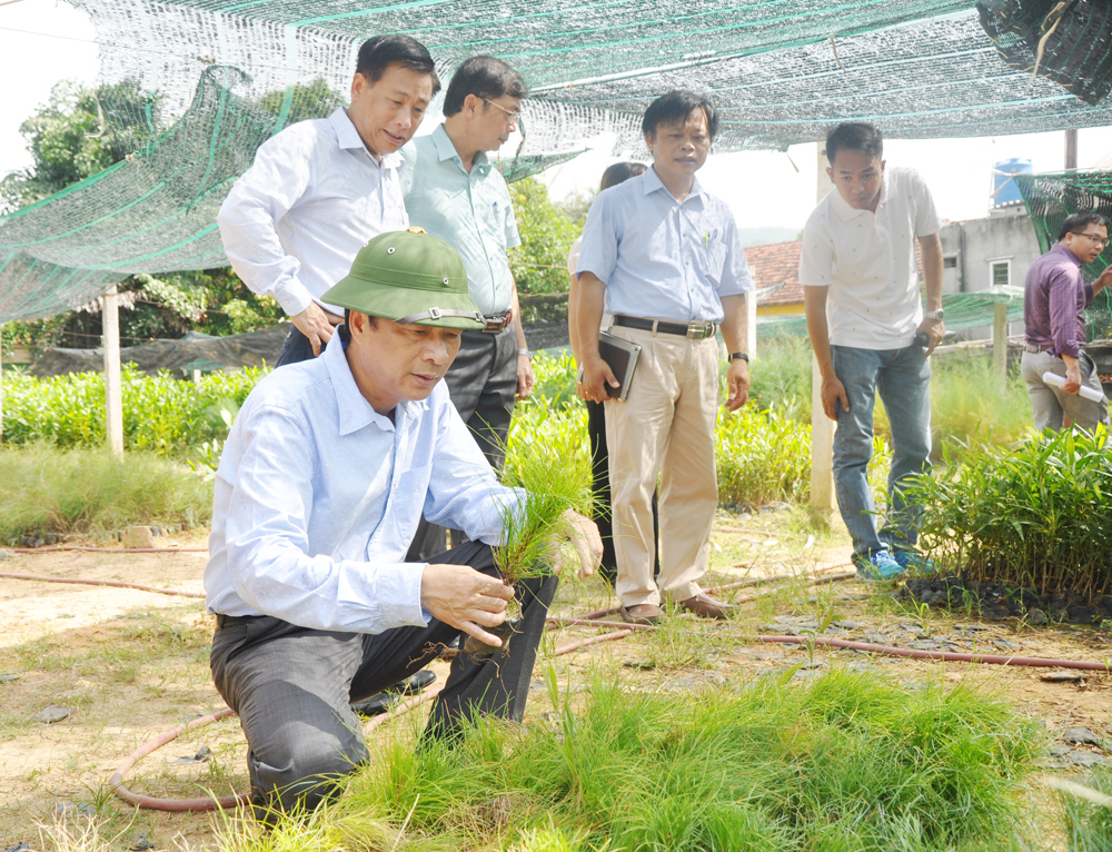 Đồng chí Nguyễn Văn Đọc, Bí thư Tỉnh ủy, Chủ tịch HĐND tỉnh thăm mô hình nghiên cứu tại Trung tâm Khoa học và sản xuất lâm nông nghiệp Quảng Ninh