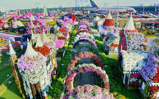 999 Hình ảnh vườn hoa đẹp  Bộ sưu tập hình ảnh vườn hoa đẹp siêu độc  chất lượng 4K
