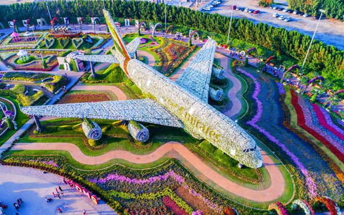Vườn hoa Dubai Miracle còn là nơi du khách tìm thấy mô hình hoa lớn nhất thế giới. Đó là bản sao của chiếc máy bay Airbus A380 của hãng hàng không Emirates được tạo nên từ hơn 500.000 bông hoa tươi và nhiều loài cây. Khi những bông hoa nở rộ, toàn bộ máy bay này có thể có tới gần 5 triệu bông hoa. Ảnh: Dubai Miracle Garden.