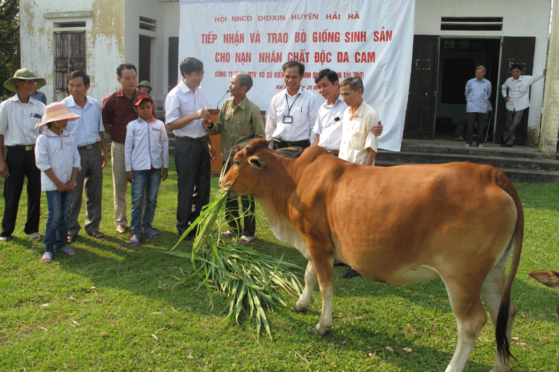 Công ty Sổ số kiến thiết Quảng Ninh và Hội Nạn nhân chất độc da cam Hải Hà tặng bò giống cho cựu chiến binh Đỗ Trí Điền, nạn nhân chất độc da cam ở thôn 1, xã Quảng Phong (Hải Hà). 