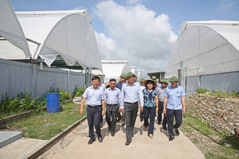 Đồng chí Bí thư Tỉnh ủy cùng đoàn công tác kiểm tra hoạt động nuôi tôm giống tại Trung tâm sản xuất giống công nghệ cao và Nuôi trồng thực nghiệm giống hải sản Quảng Ninh - xã Đại Bình