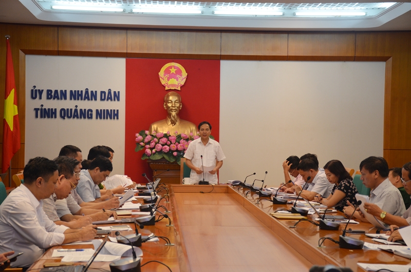đồng chí Đặng Huy Hậu, Phó Chủ tịch UBND tỉnh phát biểu tại cuộc họp