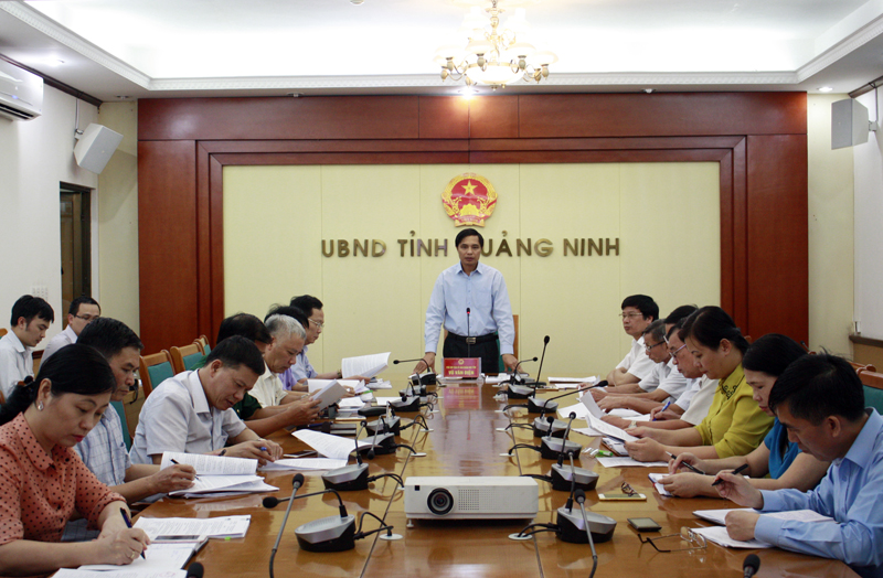 Đồngg chí Vũ Văn Diện, Phó Chủ tịch UBND tỉnh phát biểu chỉ đạo tại cuộc họp