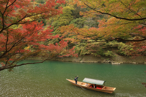 Mọi người vẫn ưu ái gọi thu Nhật Bản là “mùa lá đỏ” bởi nơi đâu cũng rực rỡ và đẹp quyến rũ.