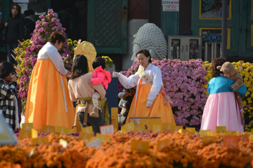 Mùa thu cũng là thời điểm Hàn Quốc ngập tràn lễ hội như hội thi xếp giấy Hanji, lễ hội nhân sâm, hội thi thả đèn lồng...
