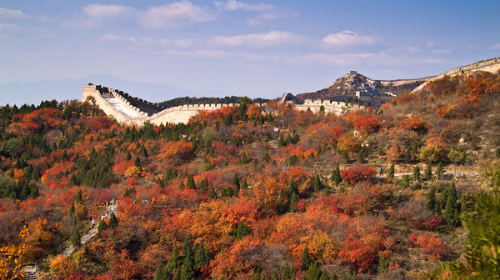 Rời xa trung tâm Bắc Kinh một chút, du khách có thể tới Vạn Lý Trường Thành (khu Bát Đạt Lĩnh) để ngắm lá phong, cảm nhận dư vị ngọt ngào của mùa thu trên mảnh đất này.