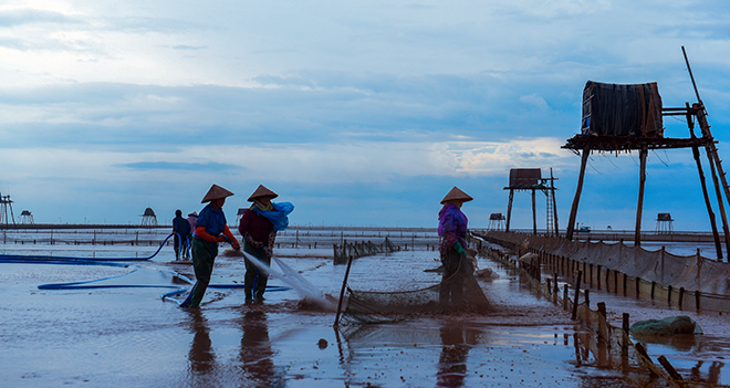 Ở Đồng Châu, nước biển không được trong xanh nên người dân chủ yếu chuyển sang làm nghề đánh bắt thuỷ, hải sản đặc biệt là nghề cào ngao nổi tiếng. Cũng vì thế, điểm nhấn thu hút du khách là hàng trăm chòi canh ngao ven được các ngư dân dựng lên.