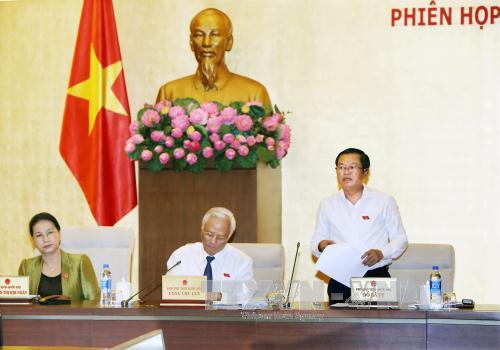 Phó Chủ tịch Quốc hội Đỗ Bá Tỵ phát biểu tại phiên họp. Ảnh: Nguyễn Dân/TTXVN