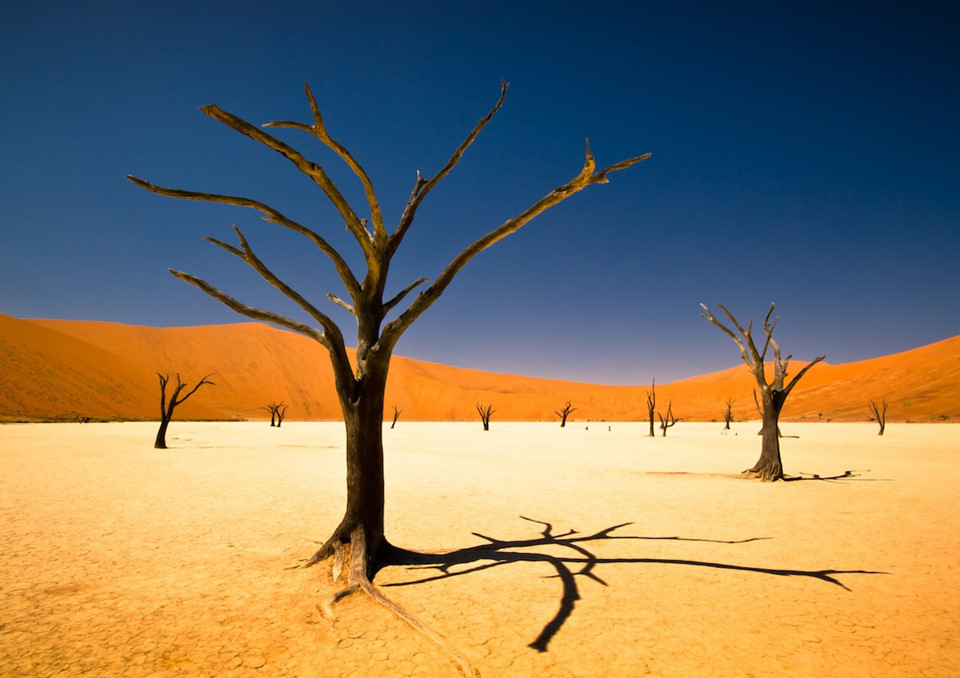 Ngắm nhìn khung cảnh kỳ vĩ của Namibia.