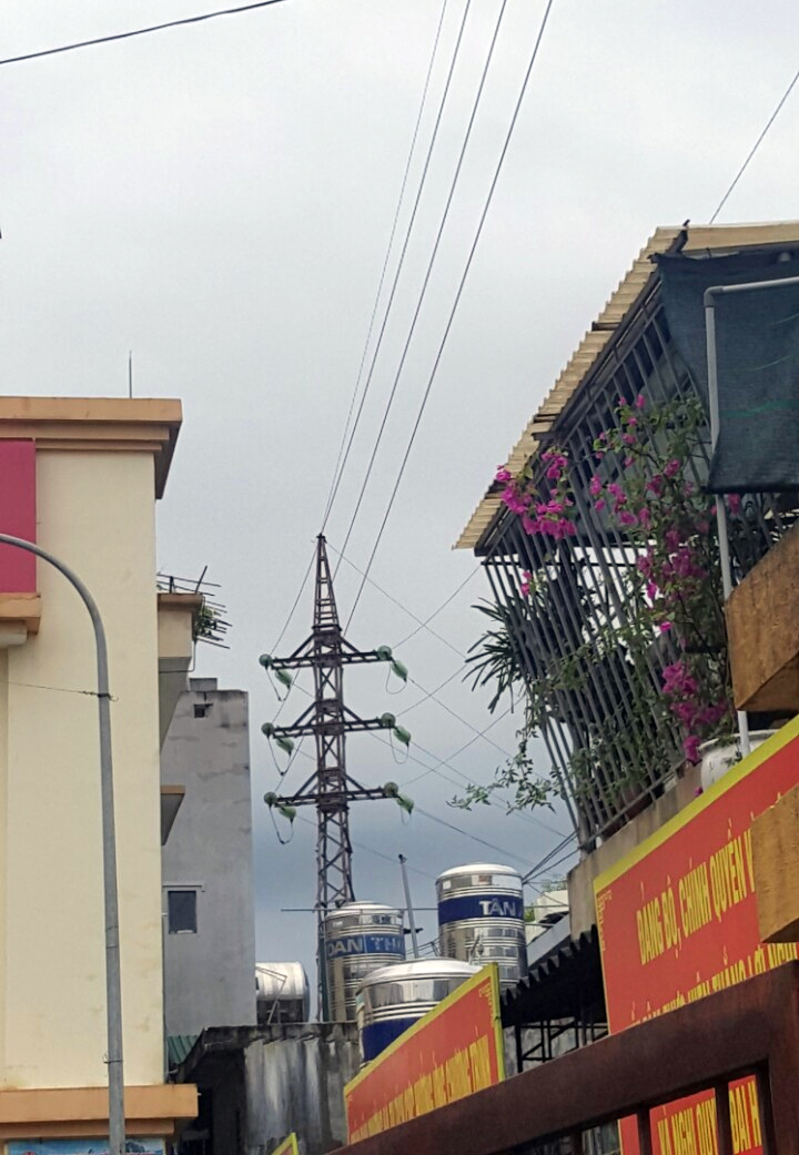 Tình trạng vi phạm hành lang an toàn lưới điện cao áp diễn ra phổ biến. (Ảnh chụp tại TP Hạ Long)