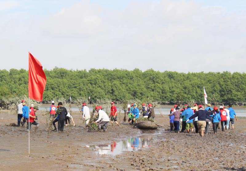 Đông đảo thanh thiếu niên, tình nguyện viện Hội CTĐ Nhật Bản và Hội CTĐ TX Quảng Yên đã tham gia trồng rừng ngập mặn tại khu vực bãi triều cống 5 cửa ( xã Sông Khoai).