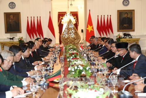 Tổng thống Indonesia Joko Widodo hội đàm với Tổng Bí thư Nguyễn Phú Trọng. Ảnh: Trí Dũng/TTXVN