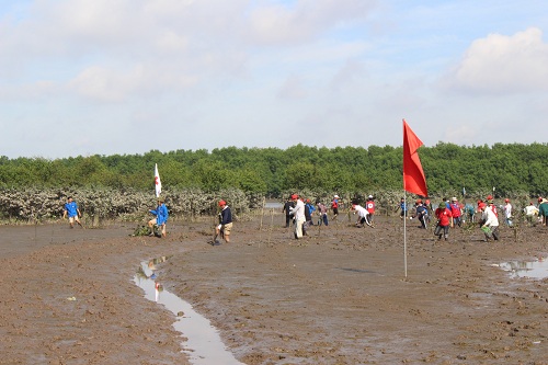 A large number of Vietnamese and Japanese youth planting mangroves in Song Khoai commune (Photo: qtv.vn)