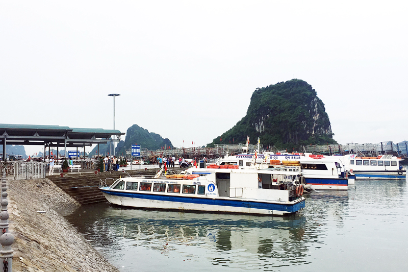 Cảng tàu khách du lịch Cái Rồng cơ bản đã đáp ứng tốt nhu cầu đi các tuyến đảo của khách du lịch và nhân dân.
