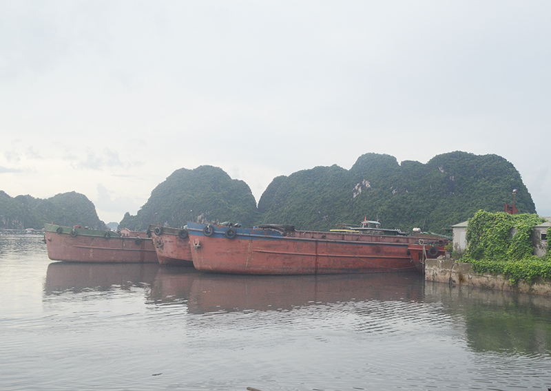 Khu vực cụm cảng km 6 phường Quang Hanh là điểm neo đậu tránh trũ bão an toàn cho các phương tiện 