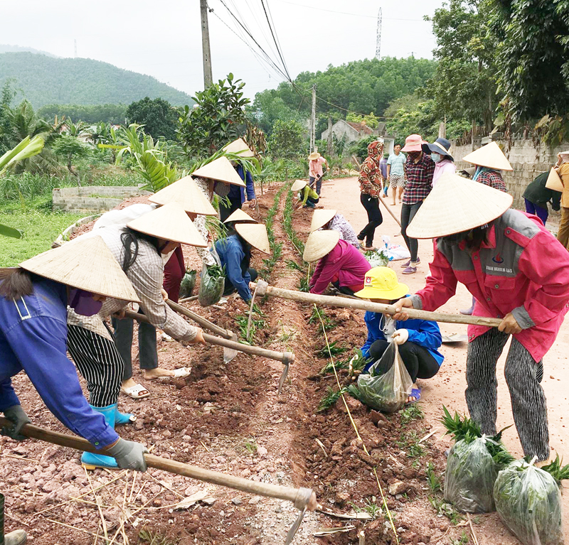 Cán bộ, nhân dân thôn Lâm Thành, xã Hải Lạng, huyện Tiên Yên, tích cực trồng cây xanh tạo cảnh quan môi trường, góp phần xây dựng NTM kiểu mẫu.