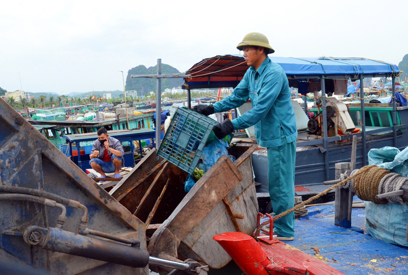 Công nhân Công ty CP Cây xanh công viên Quảng Ninh di chuyển rác thải thu gom trên Vịnh Hạ Long tới nơi xử lý.
