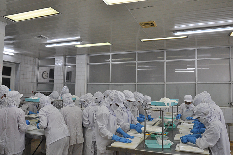 Đợt 1, 38 công nhân mất việc tại Công ty TNHH Everbest Việt Nam đã được Công ty CP Xuất nhập khẩu thủy sản Quảng Ninh tiếp nhận và đào tạo chuyển đổi nghề.