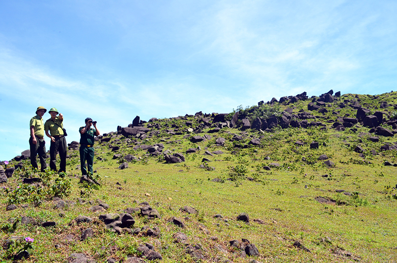 Các đơn vị chức năng thường xuyên tuần tra, bảo vệ rừng Quảng Nam Châu.