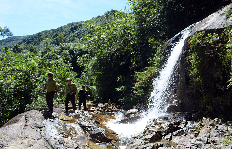 Rừng Quảng Nam Châu có những thác nước rất đẹp.
