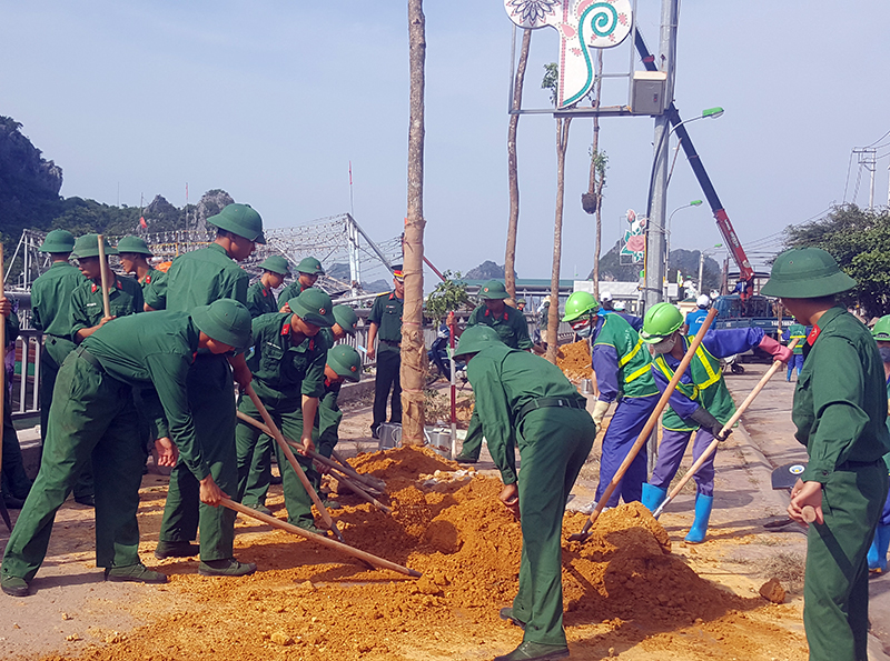 Đoàn Thanh niên Lữ đoàn 242 tham gia trồng cây tại hành lang vỉa hè khu vực cảng Cái Rồng (huyện Vân Đồn).