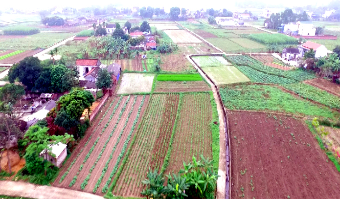 Thôn kiểu mẫu, vườn mẫu đang từng bước thay đổi bộ mặt nông thôn ở xã Quảng Minh.
