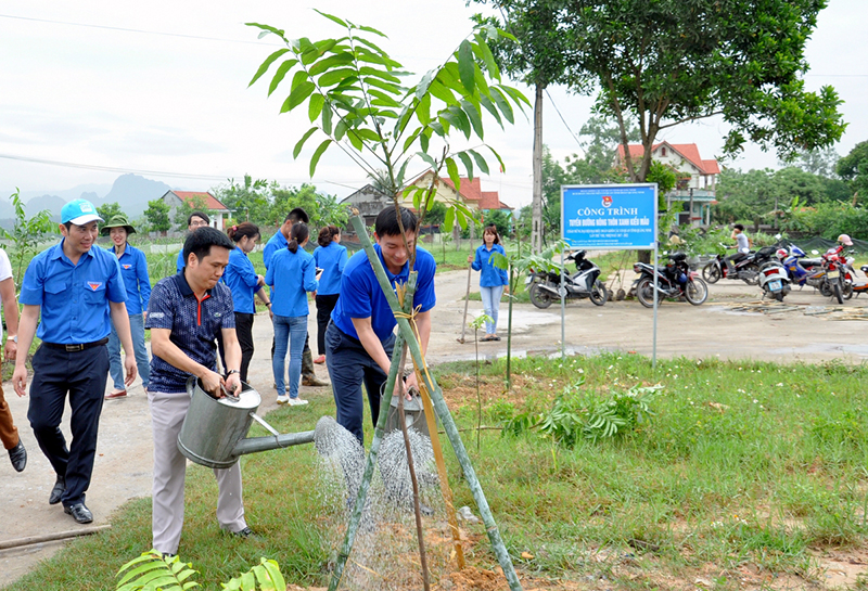 ĐVTN Tỉnh Đoàn với công trình thanh niên “Trồng cây tuyến đường nông thôn xanh kiểu mẫu” tại thôn Tân Tiến, xã Lê Lợi, huyện Hoành Bồ.