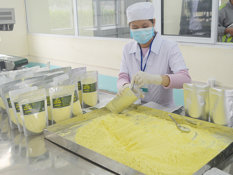 Công nhân HTX Nông dược xanh Tinh Hoa đóng gói sản phẩm tinh bột nghệ