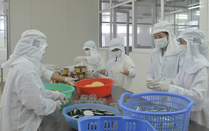 Sản phẩm ruốc cơ trai của Công ty Sản xuất và thương mại Thủy sản Quảng Ninh, huyện Vân Đồn là một trong 2 sản phẩm OCOP xếp hạng 5 sao