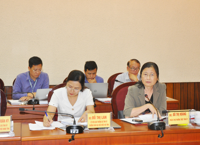 Đồng chí Đỗ Thị Hoàng, Phó Bí thư Thường trực Tỉnh ủy tham gia ý kiến tại hội nghị