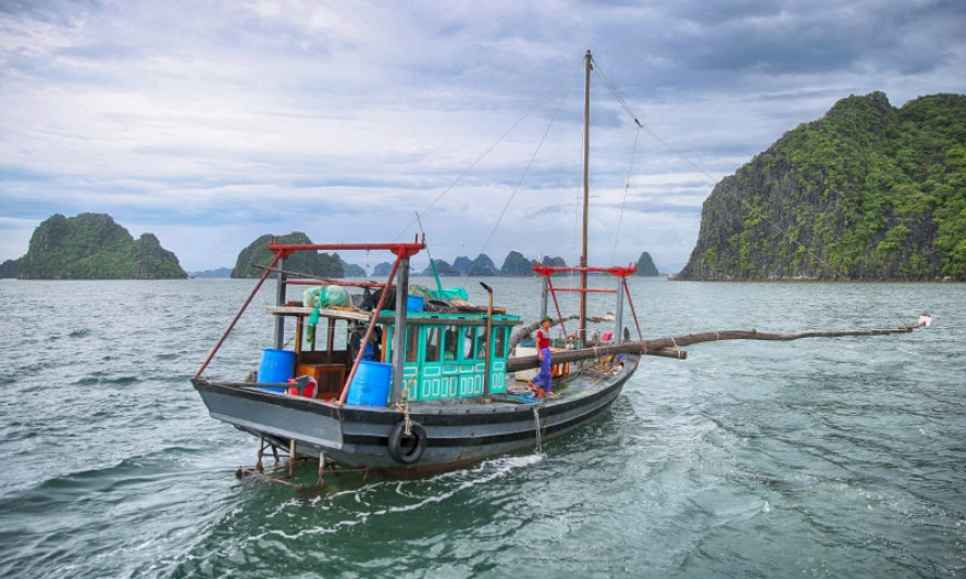 Dừng khai thác thủy sản trong vùng lõi Vịnh Hạ Long
