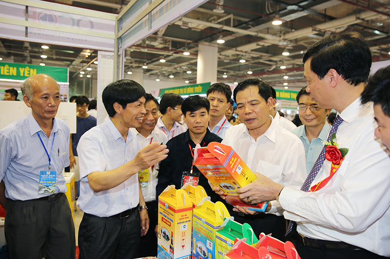 Các đại biểu tham quan gian hàng giới thiệu sản phẩm OCOP huyện Vân Đồn