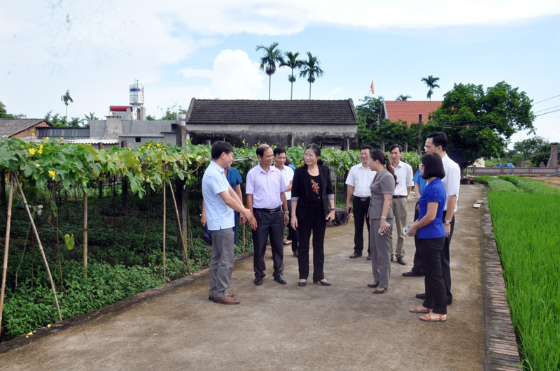 ...và đến thăm một số khu sản xuất rau an toàn của HTX sản xuất rau an toàn xã Quảng Minh.