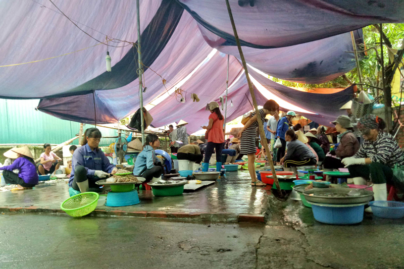 Khu vườn của một hộ dân ở khu 3, phường Hồng Hà, TP Hạ Long được san gạt để cho người bán cá thuê bán hàng.