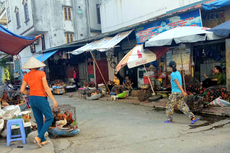 Phía sau chợ Cột 3, phường Hồng Hải, TP Hạ Long đã hình thành chợ cóc.