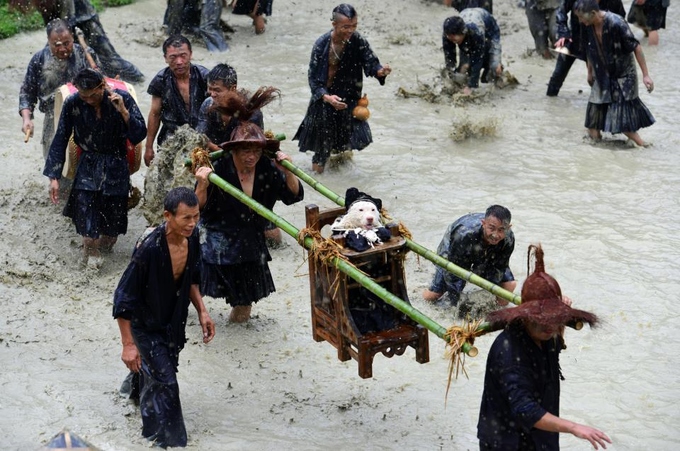 Theo truyền thuyết, khi những người Miao đầu tiên đi khai hoang lập nghiệp, một con chó đã dẫn họ tới nguồn nước thiêng. Nhờ thế mà cả bộ tộc không chết khát. Từ đó, hàng năm người Miao đều tổ chức lễ hội kiệu chó taigoujie như để cảm tạ thần thánh và cầu nguyện cho mùa màng năm sau.