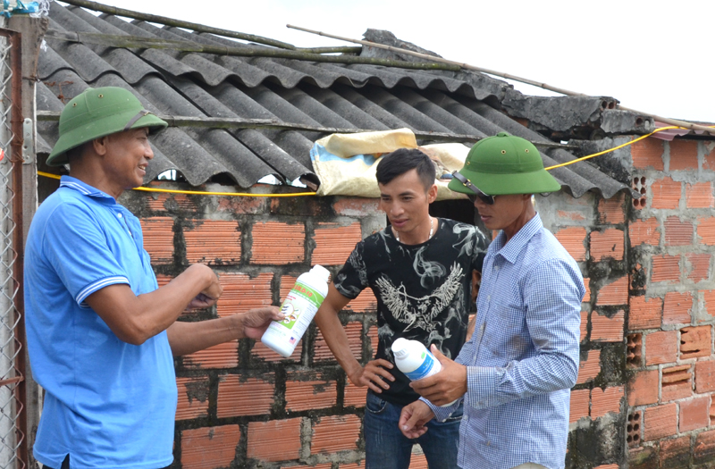 Các học viên học nghề kỹ thuật nuôi giáp xác thương phẩm phường Nam Hòa trao đổi kỹ thuật nuôi tôm 