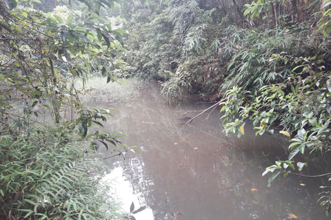 Nguồn nước cung cấp cho người dân ở thôn Đồng Tâm (xã Yên Than, Tiên Yên) đục ngàu, đầy rác.