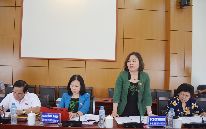 Đồng chí Ngô Thị Minh, Phó Chủ nhiệm Ủy ban làm trưởng đoàn phát biểu tại buổi họp.