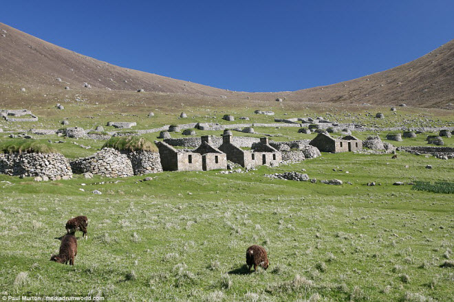 Tàn tích của ngôi làng Hirta, nơi các cư dân phải sơ tán vào năm 1930.