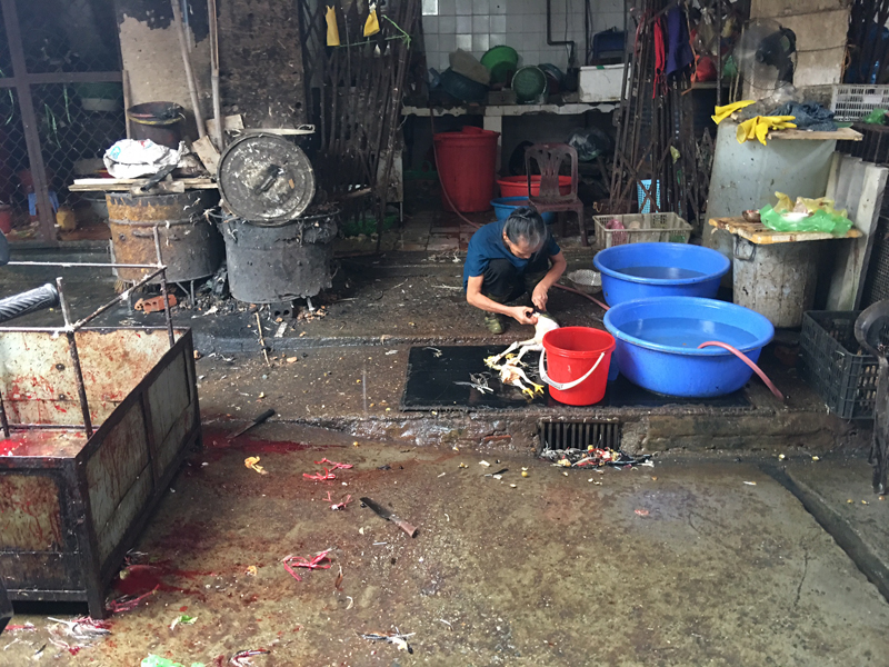 Nhếch nhác khu giết mổ gia cầm tại chợ trung tâm TP Cẩm Phả