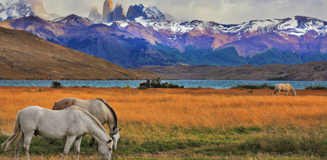 Patagonia, Chile: Đến Chile vào mùa hè (từ tháng 12 năm trước tới tháng 2 năm sau), du khách có cơ hội chiêm ngưỡng mặt trời dường như không bao giờ lặn tại vùng Patagonia.